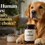 Dog is Human Reviews: Is the daily multivitamin a smart choice?SEO Title